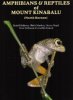 【送料激安】Amphibians & Reptiles of Mount Kinabaru ( North Borneo) ・ キナバル山の両生類と爬虫類(ECOユニバース)