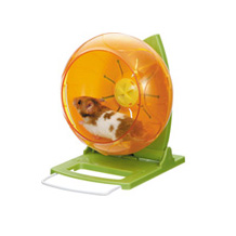 ハムスター