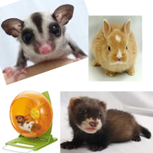 小動物用品