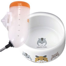 給水ボトル・食器